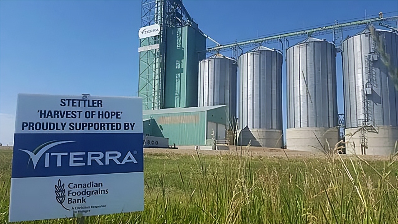 19年加拿大巨轮被堵厦门外海，损失十多亿美元，加总理尝到了苦果