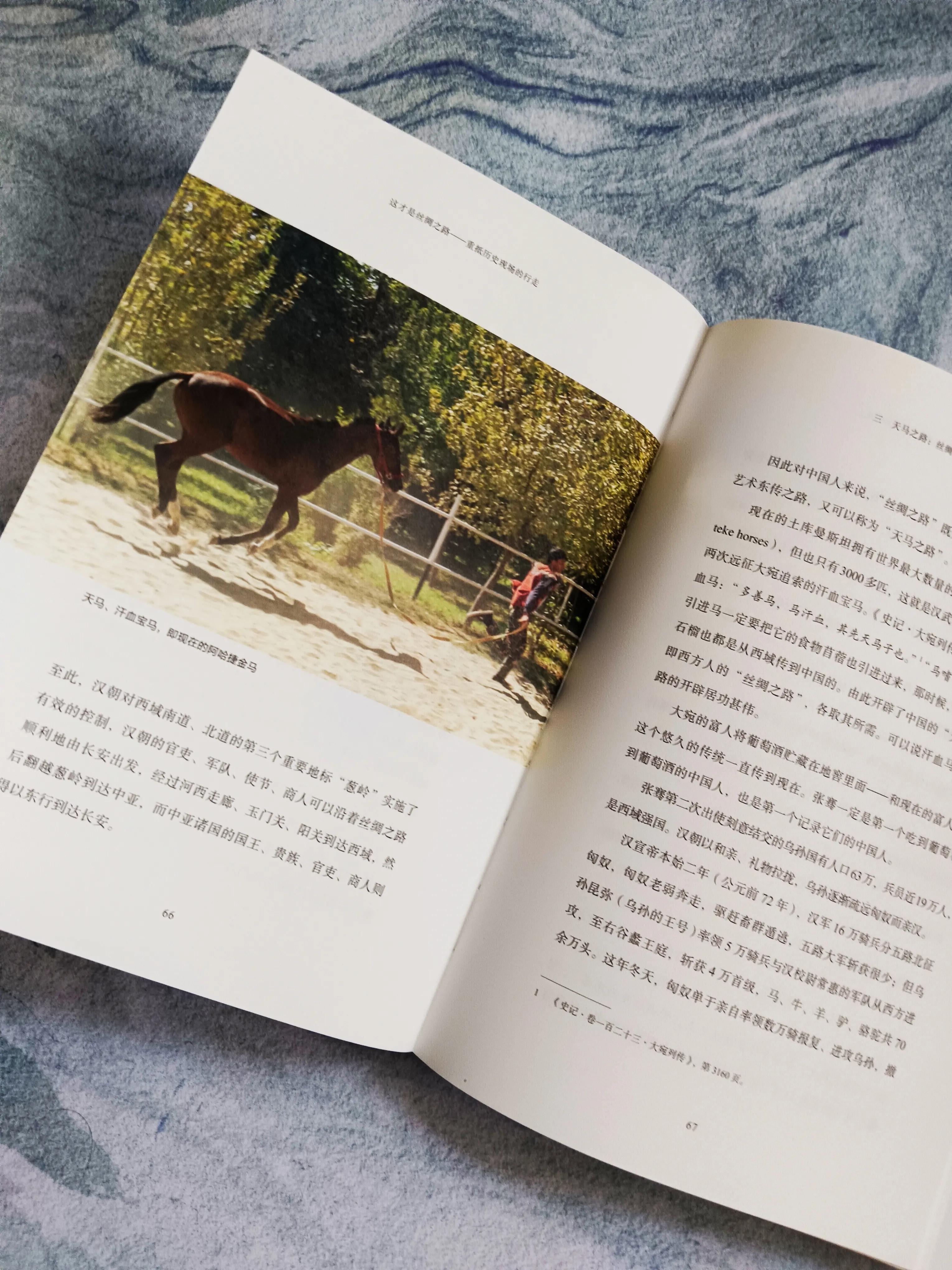 丝绸之路与鉴真区别,终于知道了丝绸之路的由来