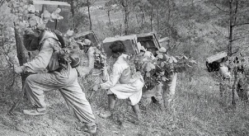 朝鲜战争志愿军败绩,朝鲜战场志愿军反败为胜