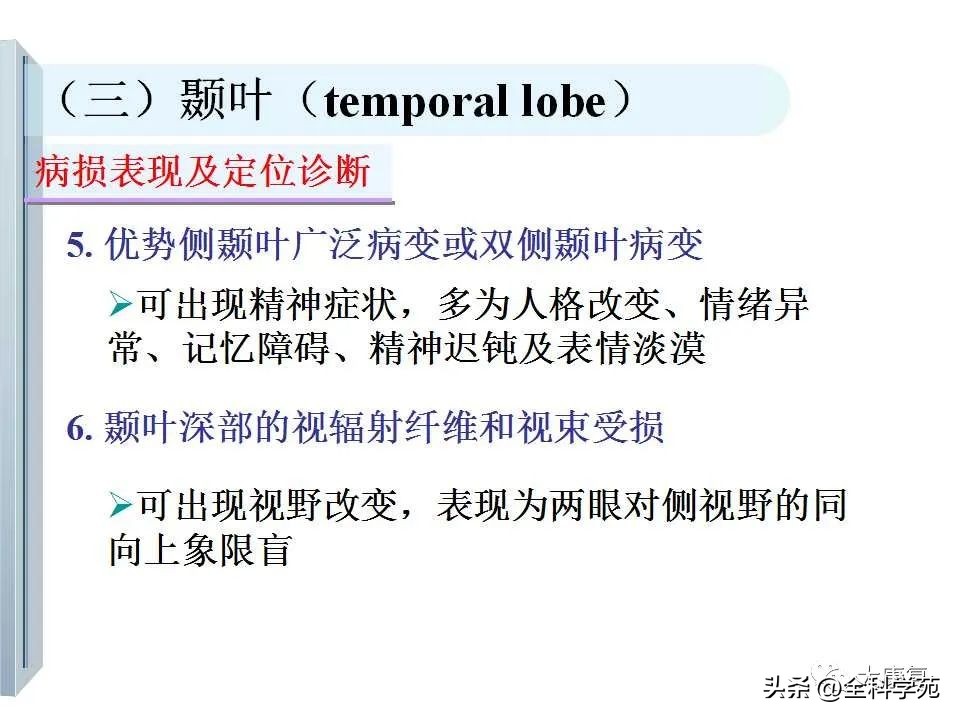 神经系统的影像与解剖定位,最全神经解剖图