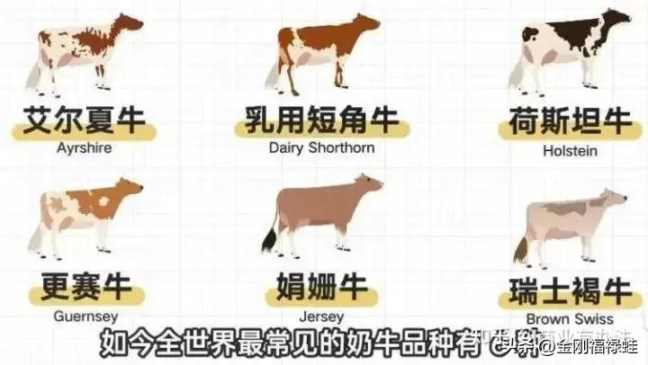 如何选择一款放心的牛奶,便宜又质量很好的牛奶有哪些