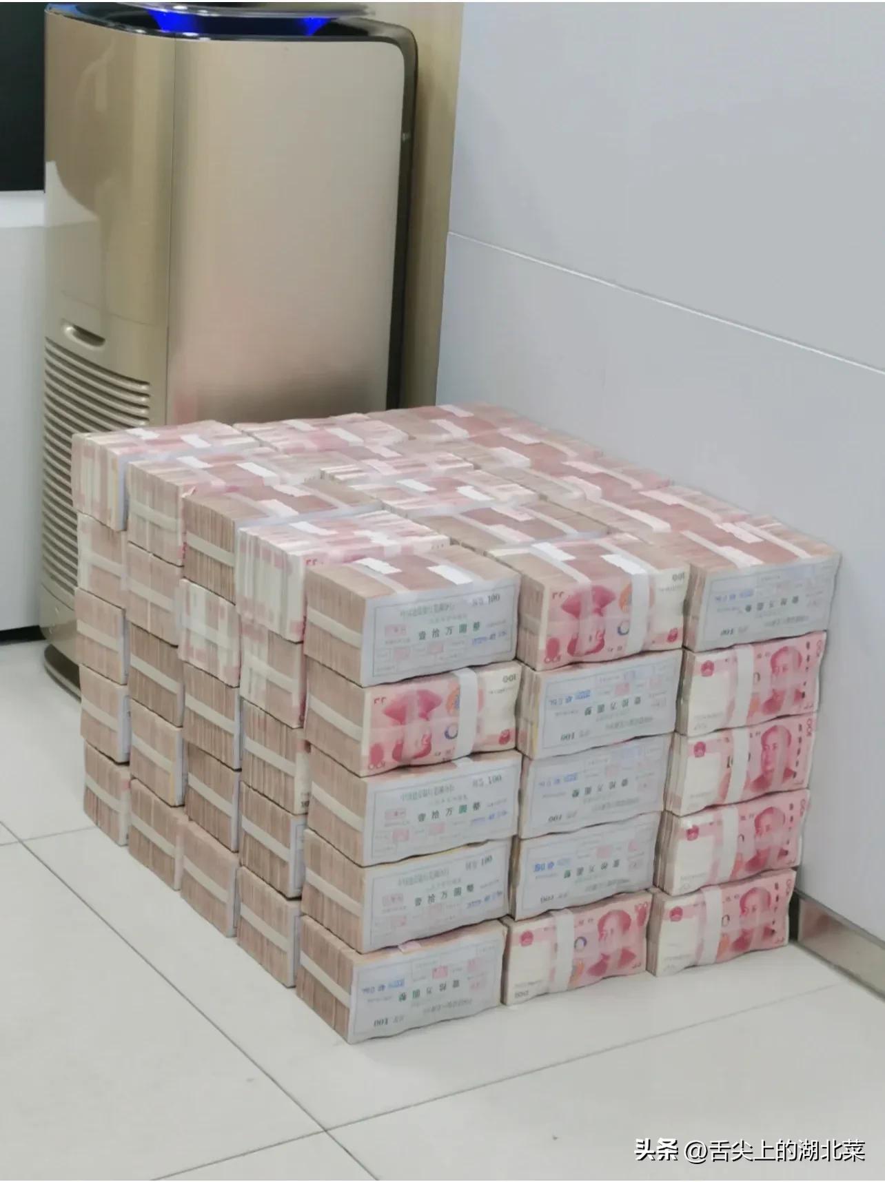 富婆几个亿送房送车倒追我，终于被感动了，30岁规划养老田园生活