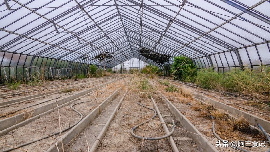 农村闷声赚钱行业,适合农村最赚钱的独门小生意