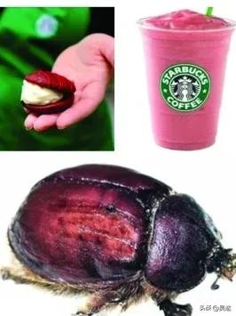 女生的口红竟然是虫子做的,美女口红里有虫子