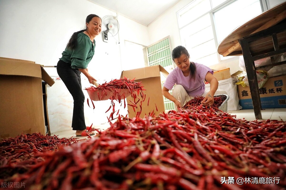 这座180万人口的小城，才是中国吃辣中的王者，煮粥都要放辣椒