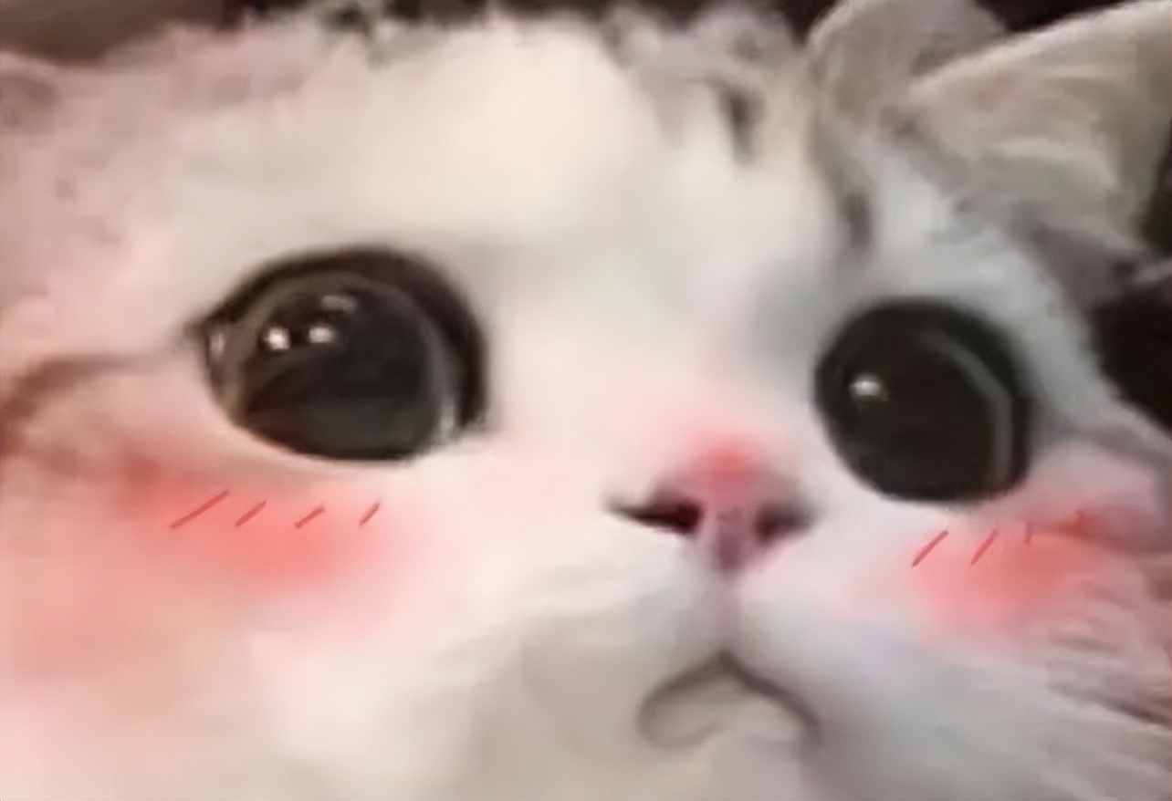 利润共享风险共担,如何规避加盟创业的风险