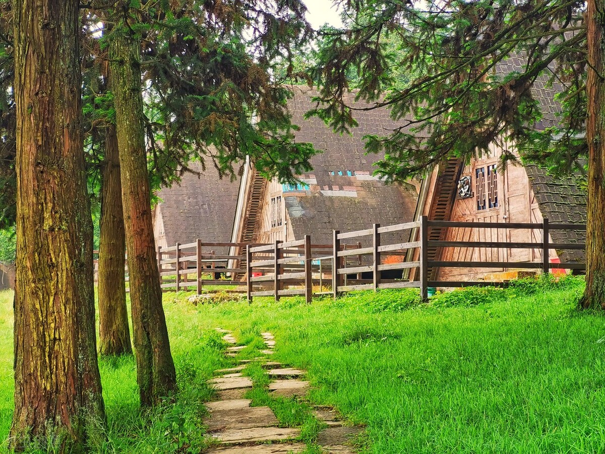 重庆武隆一日游最佳攻略,重庆到武隆两日游跟团