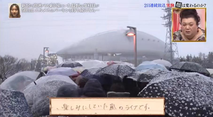 背铂金包,日本女生背帆布包