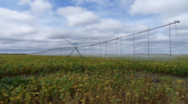 赞比亚歼6,1979年赞比亚