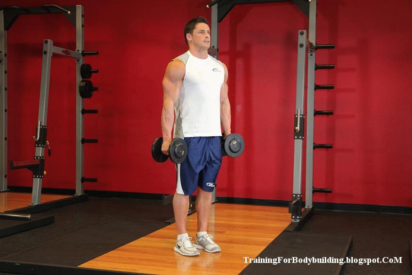 新人健身房健身一周训练计划,新手家庭健身一周训练计划