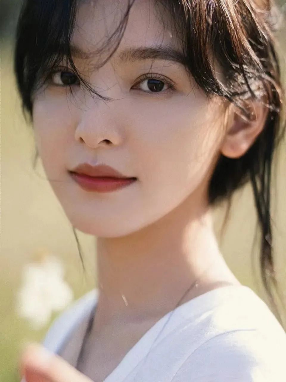 四系95花，各有各的美！