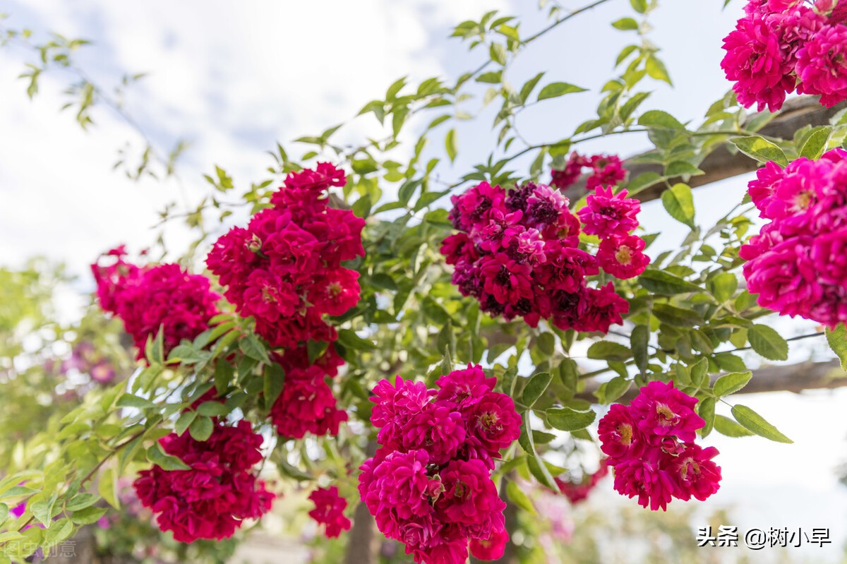 我开网店的历程,开服装店的惨痛经历