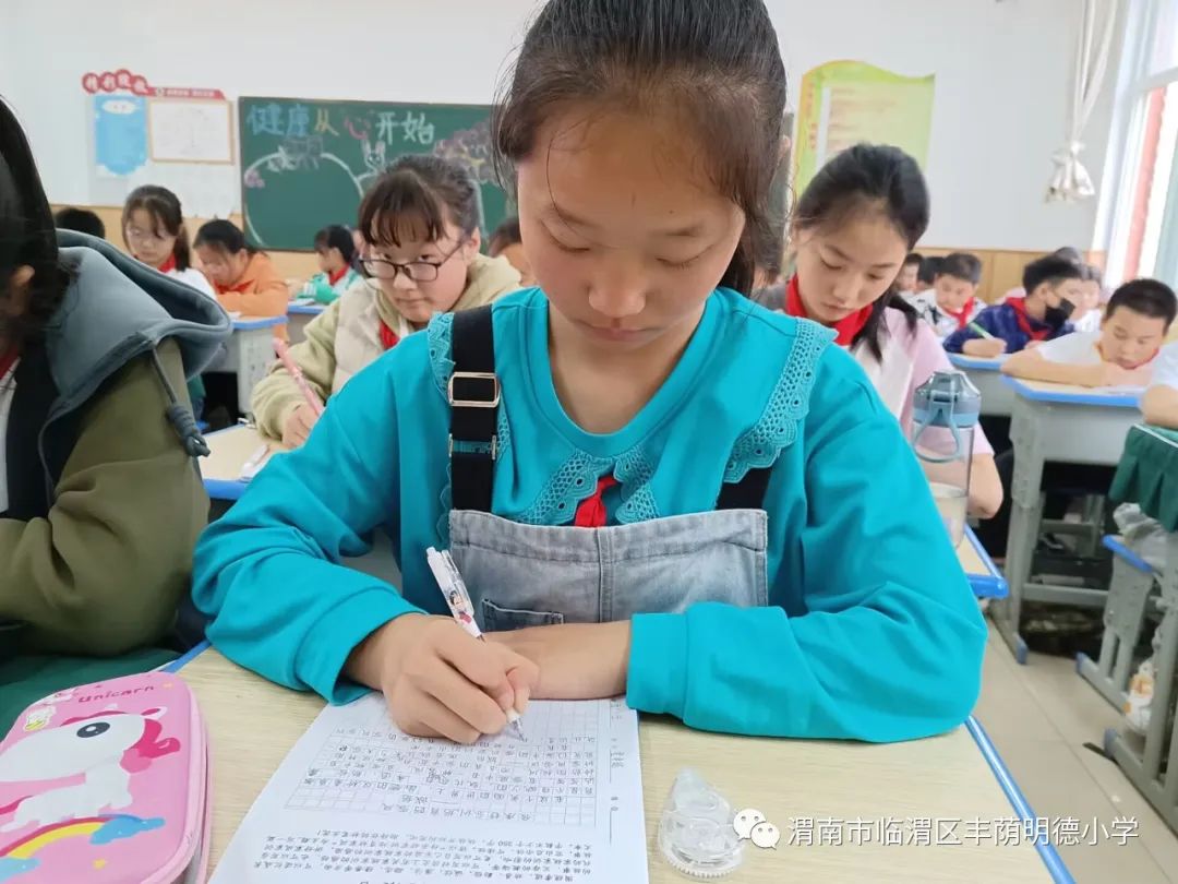 纸上风光正好真情笔端流淌——丰荫明德小学第二十届作文竞赛活动侧记