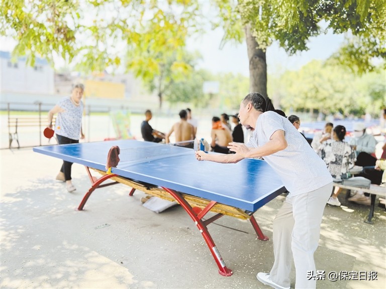 公园健身器材保定,公园小广场198件健身器材悄然登场