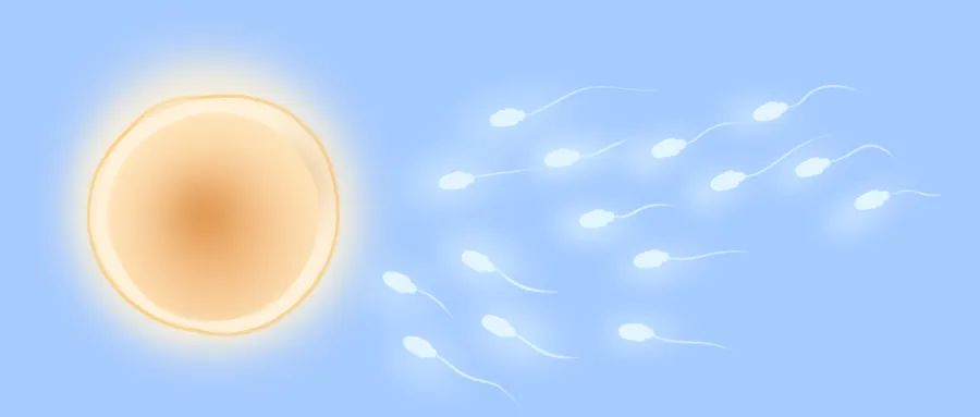 精子在体外温度下能活多久,精子体外能存活时间