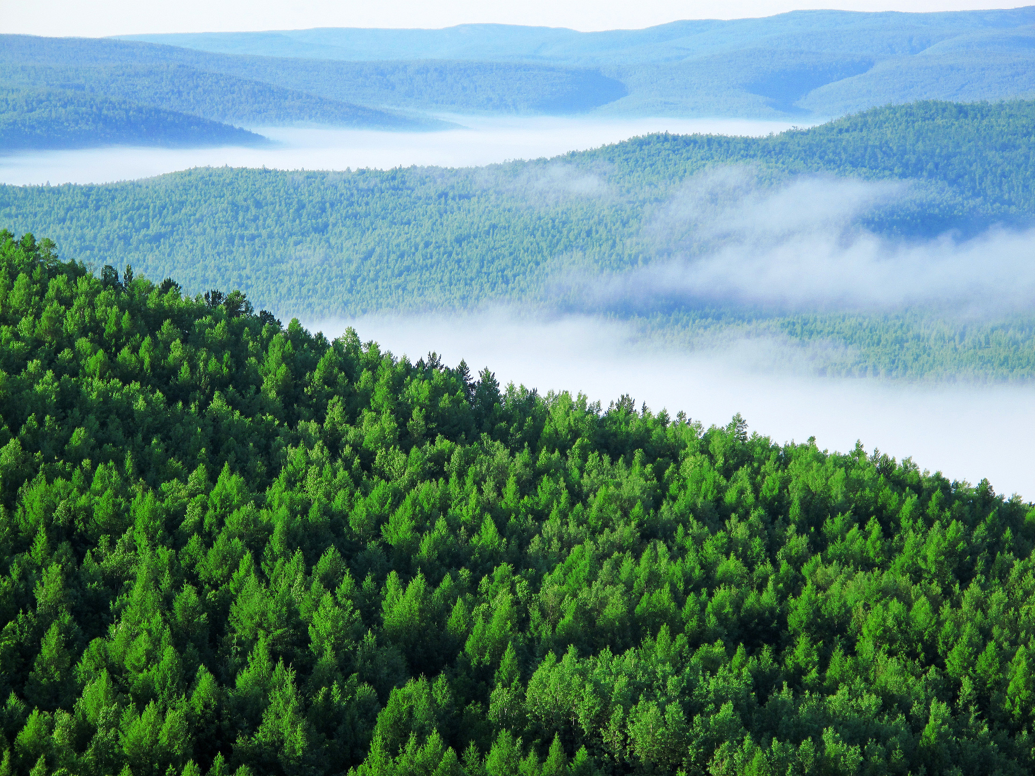 理性讨论中药,比较靠谱的负离子产品