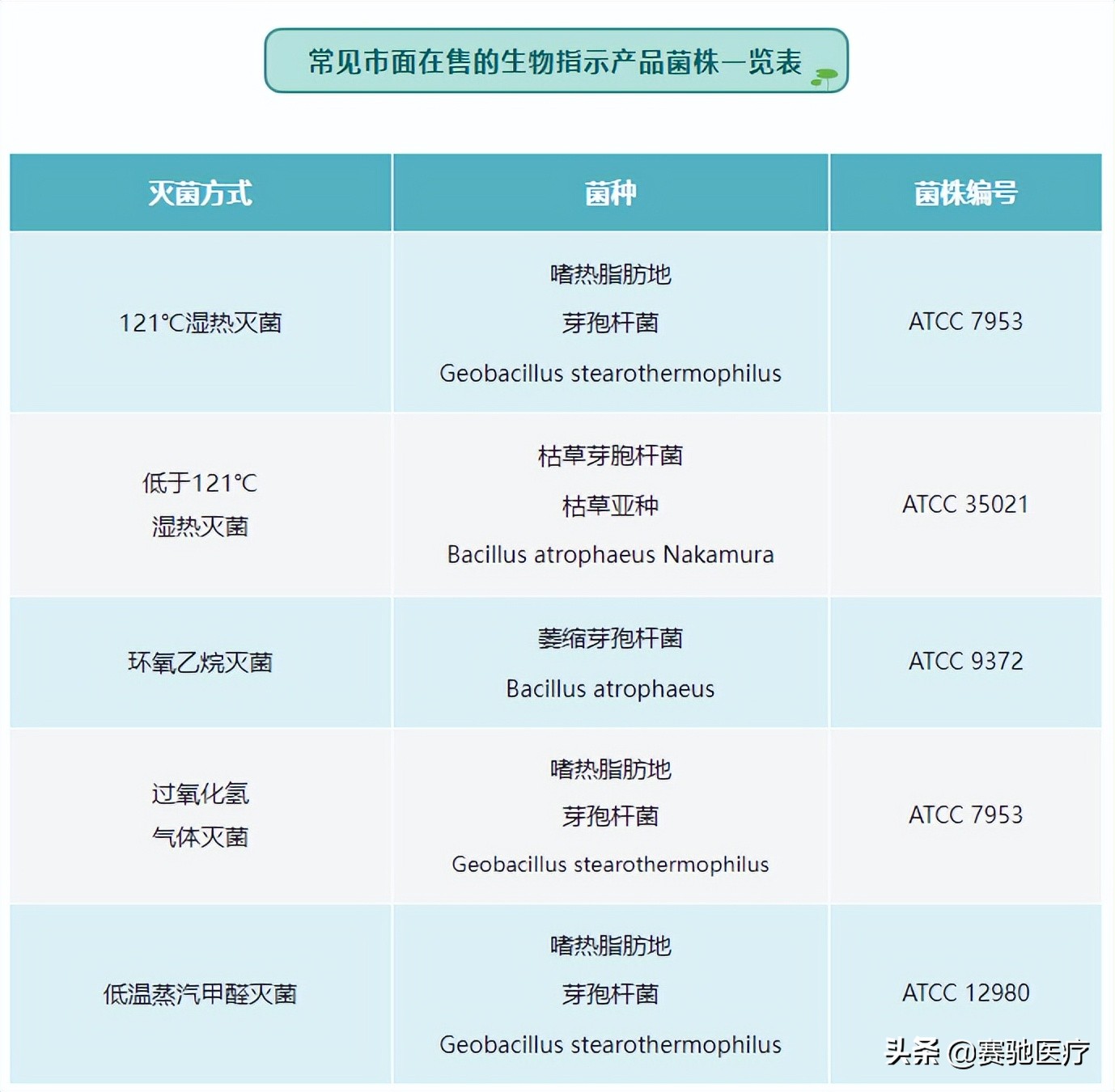 《小菌管，大讲究》系列3：菌株——每种菌都有不同的境遇