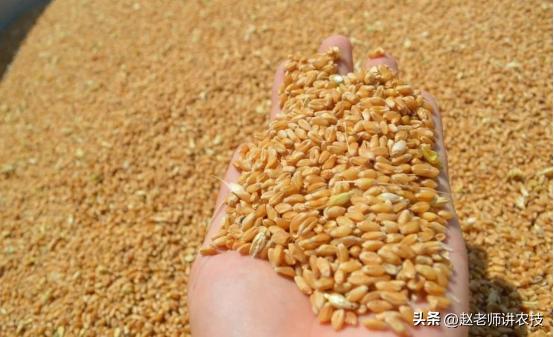 一斤粮食酒成本多少,一斤粮食酒成本到底是多少