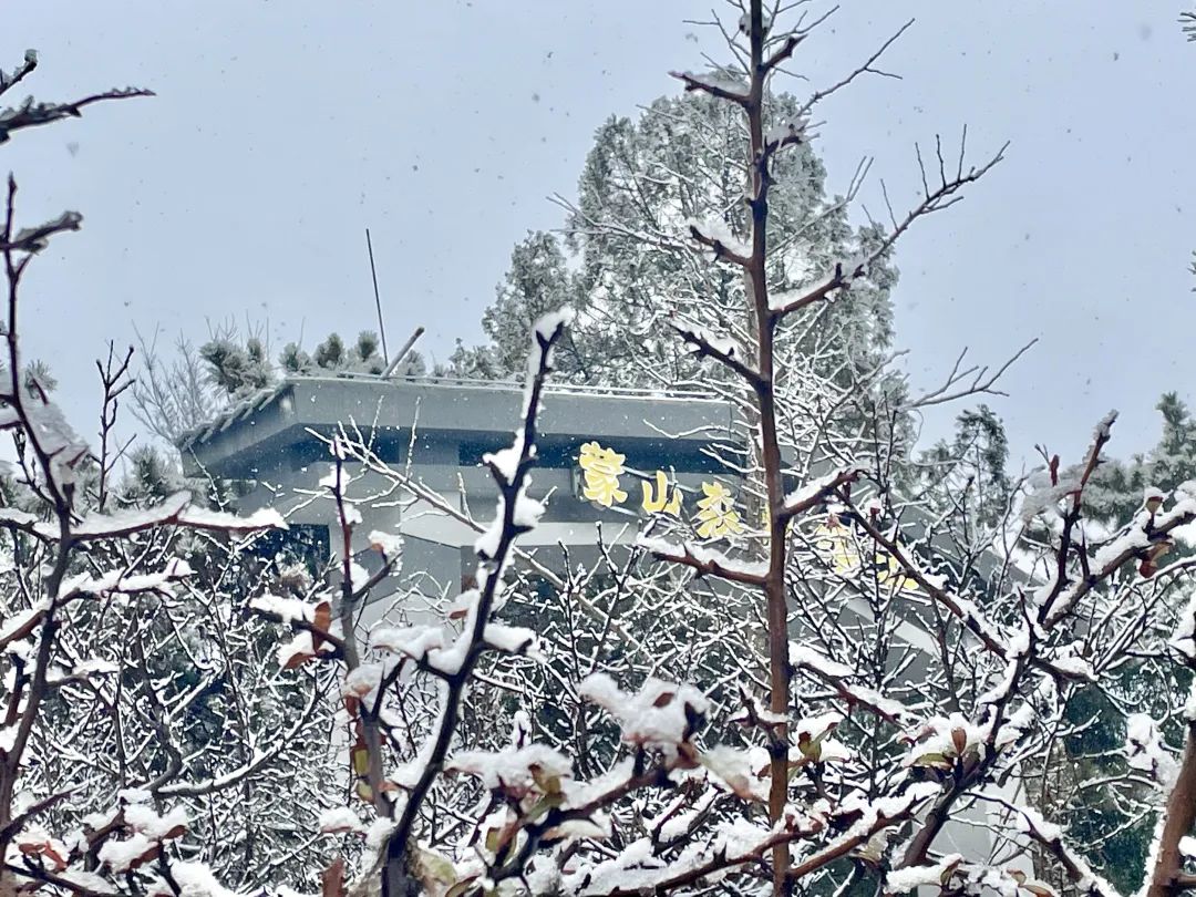 雪落成白墨影成殇,零落成妆