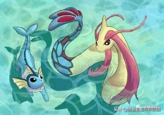 宝可梦进化,宝可梦成长之路