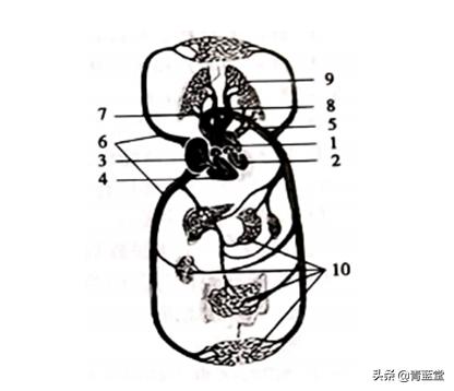 2021年山东省聊城市中考生物真题