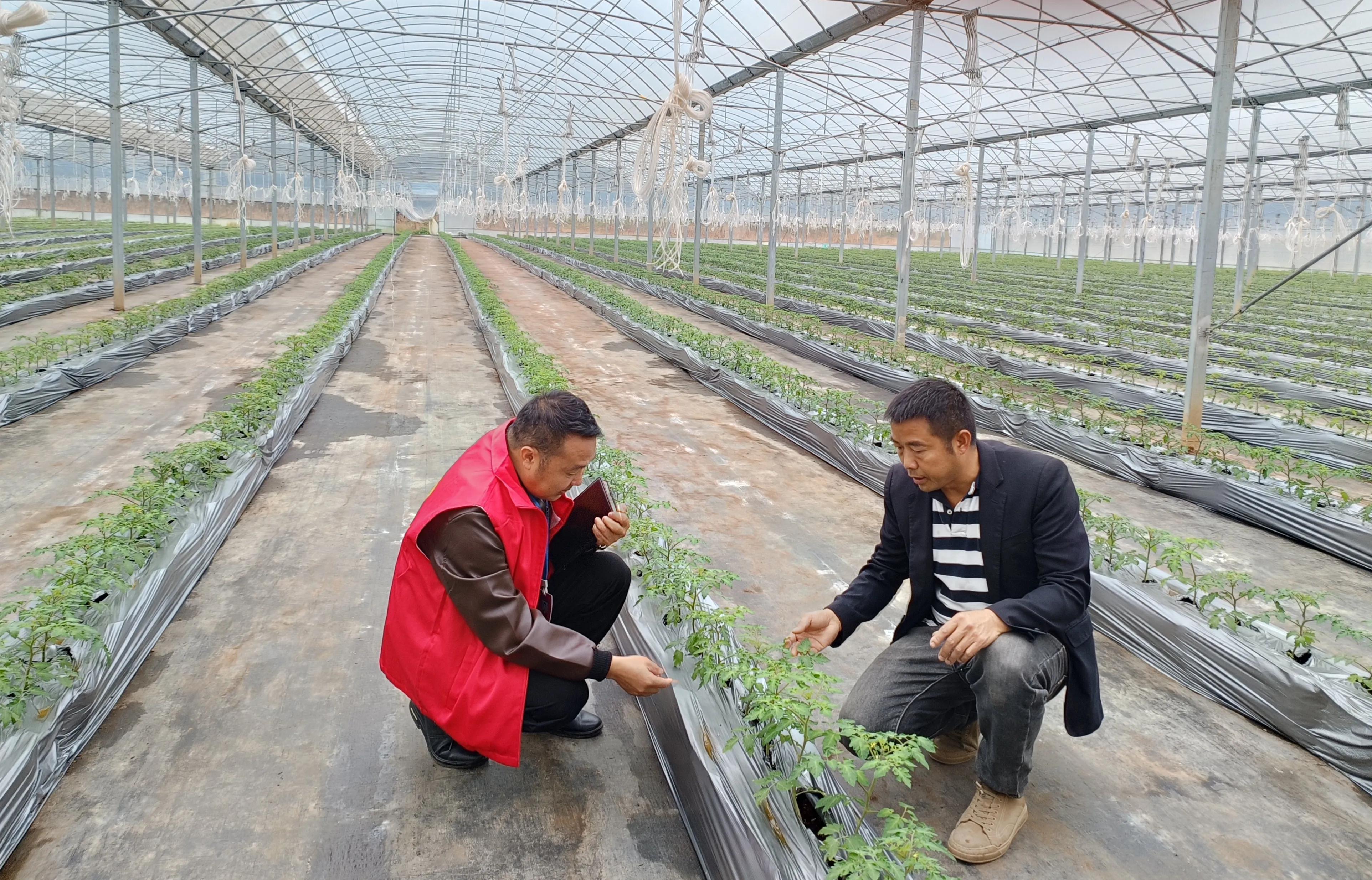 新型职业农民怎么培养新人,新时代下的新型职业农民