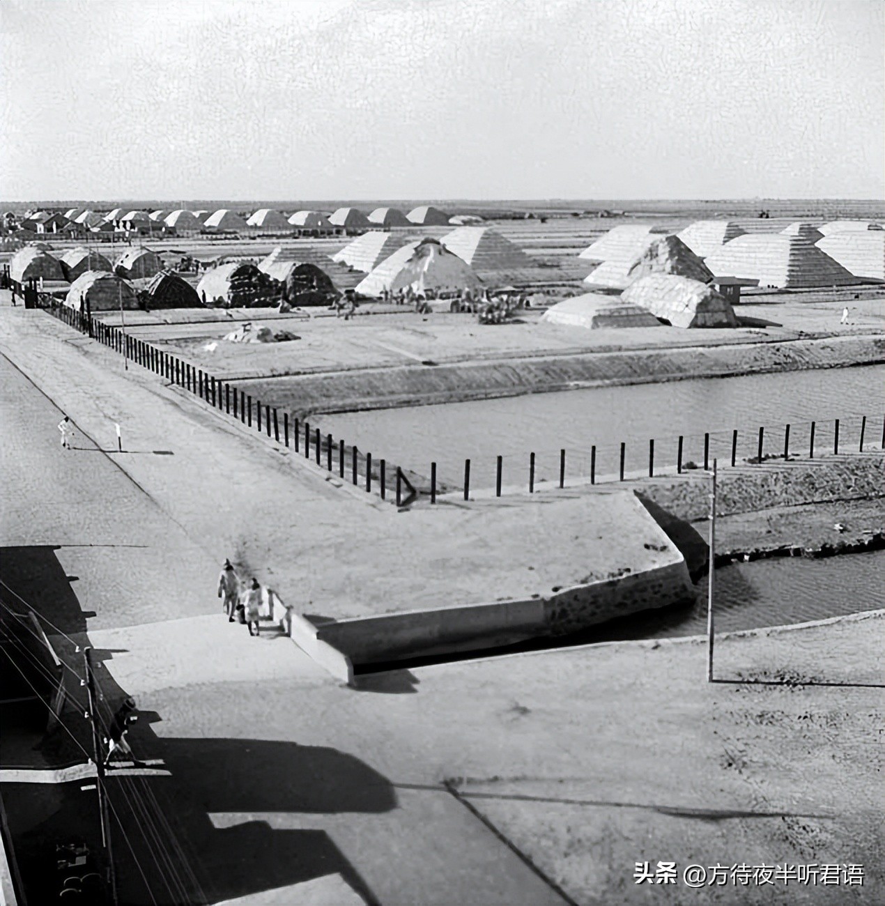 殊异之城：金石声穿过岁月的青岛留影