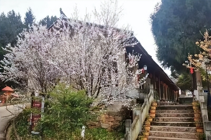 来农家乐的乐趣,来山水农家享受大自然的美景