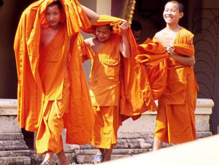 为什么国外都卖藏红花,藏红花是智商税还是真的有用