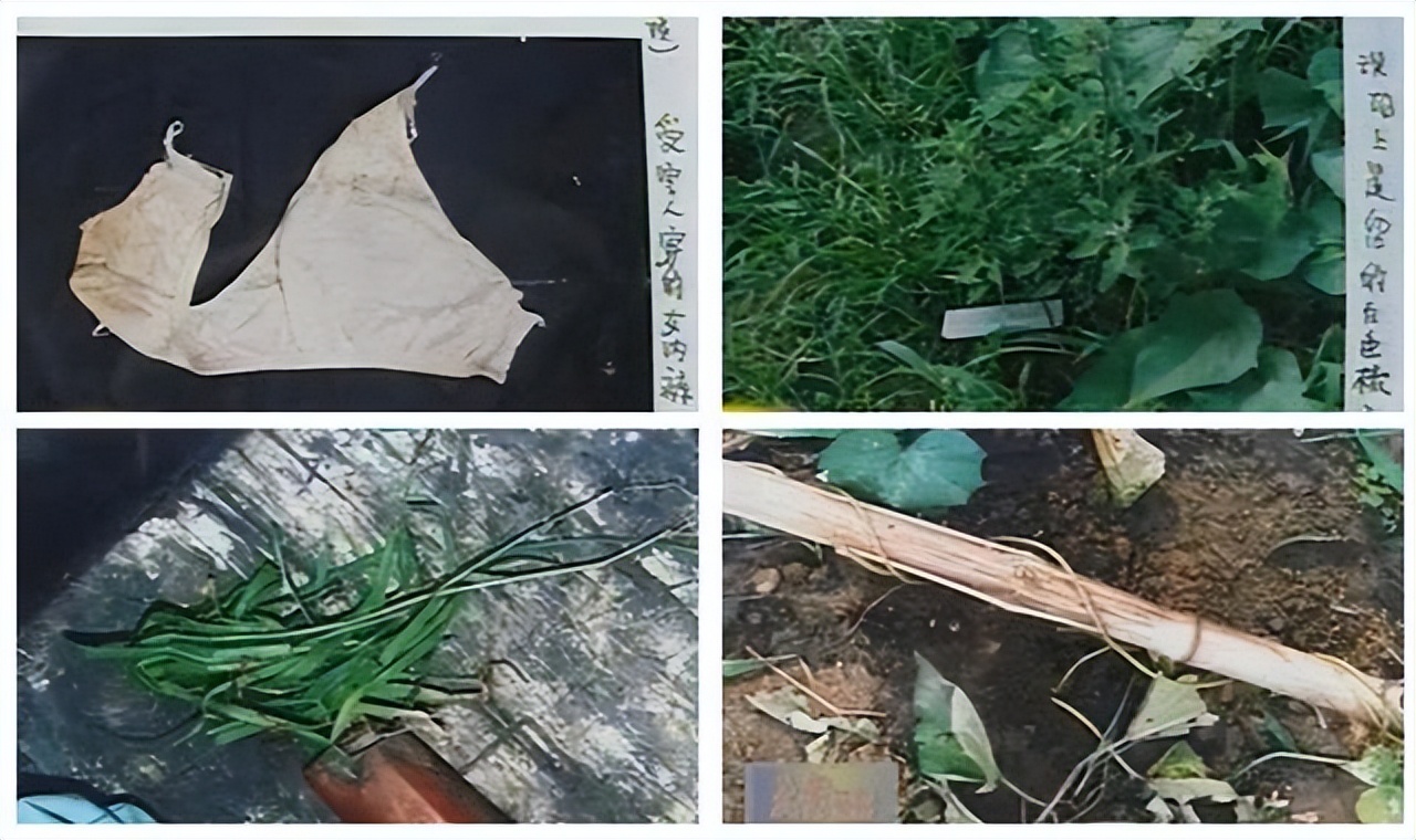 变态*杀凶**案！少女惨遭变态*魔色**砍成人彘，下身被塞满韭菜死去！