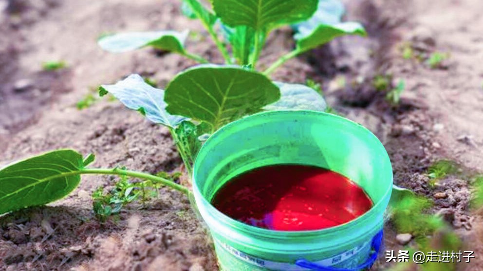 用什么防虫效果最好,什么材料防虫效果最好