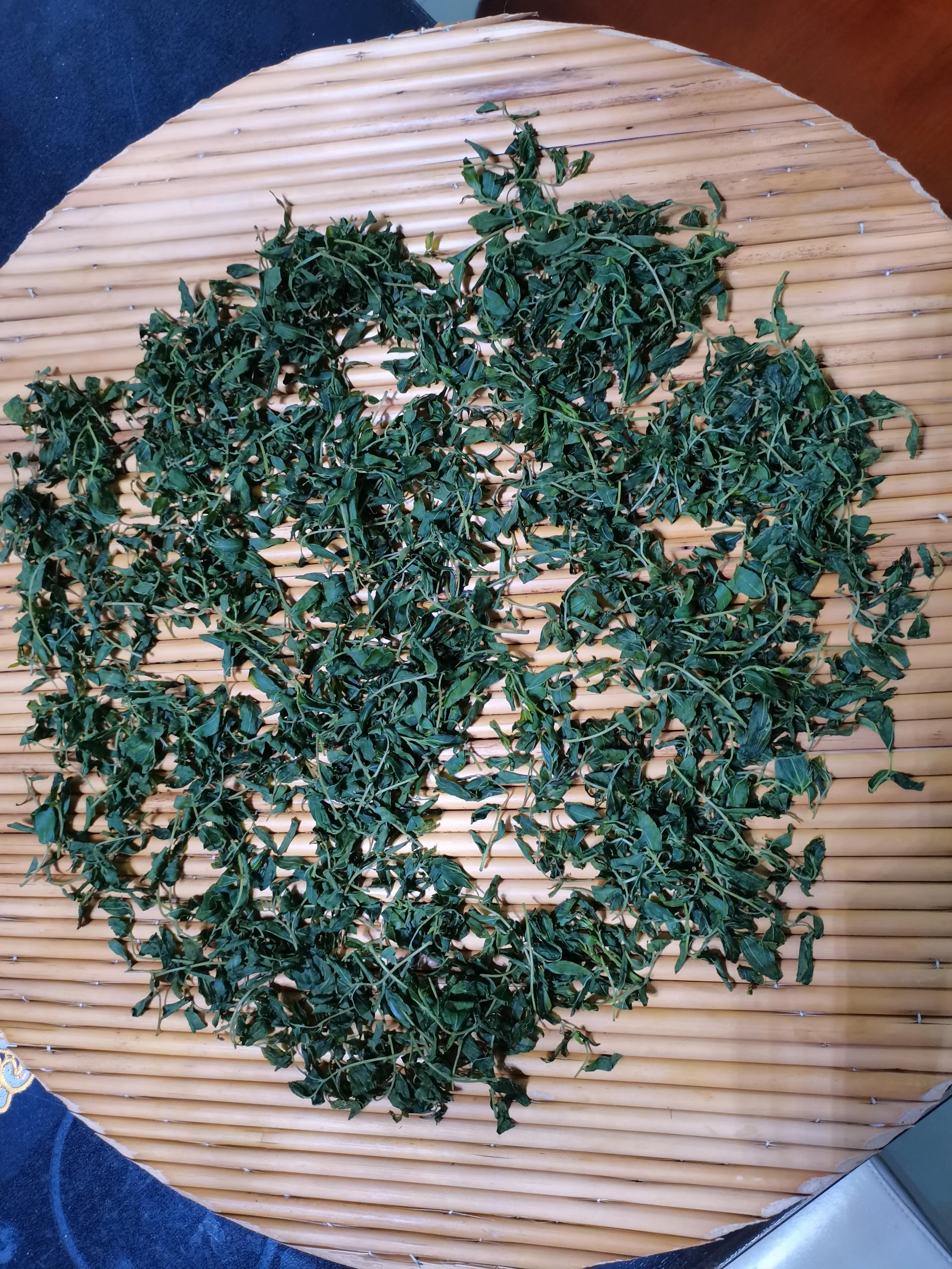 酸枣叶制茶做法,山上的野生酸枣叶可以采摘做茶吗