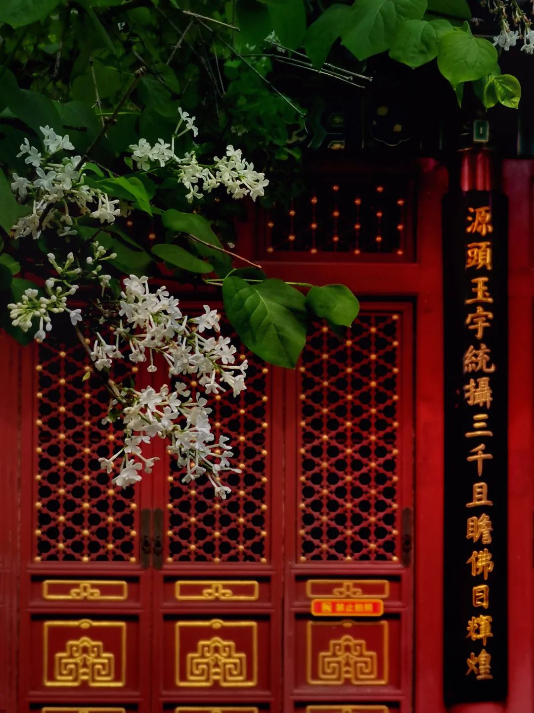 西城印象西平县,西城印象二期