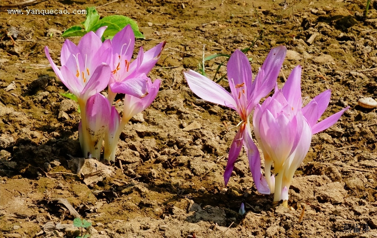 不能吃苦的人的后果,不能吃苦是什么人格