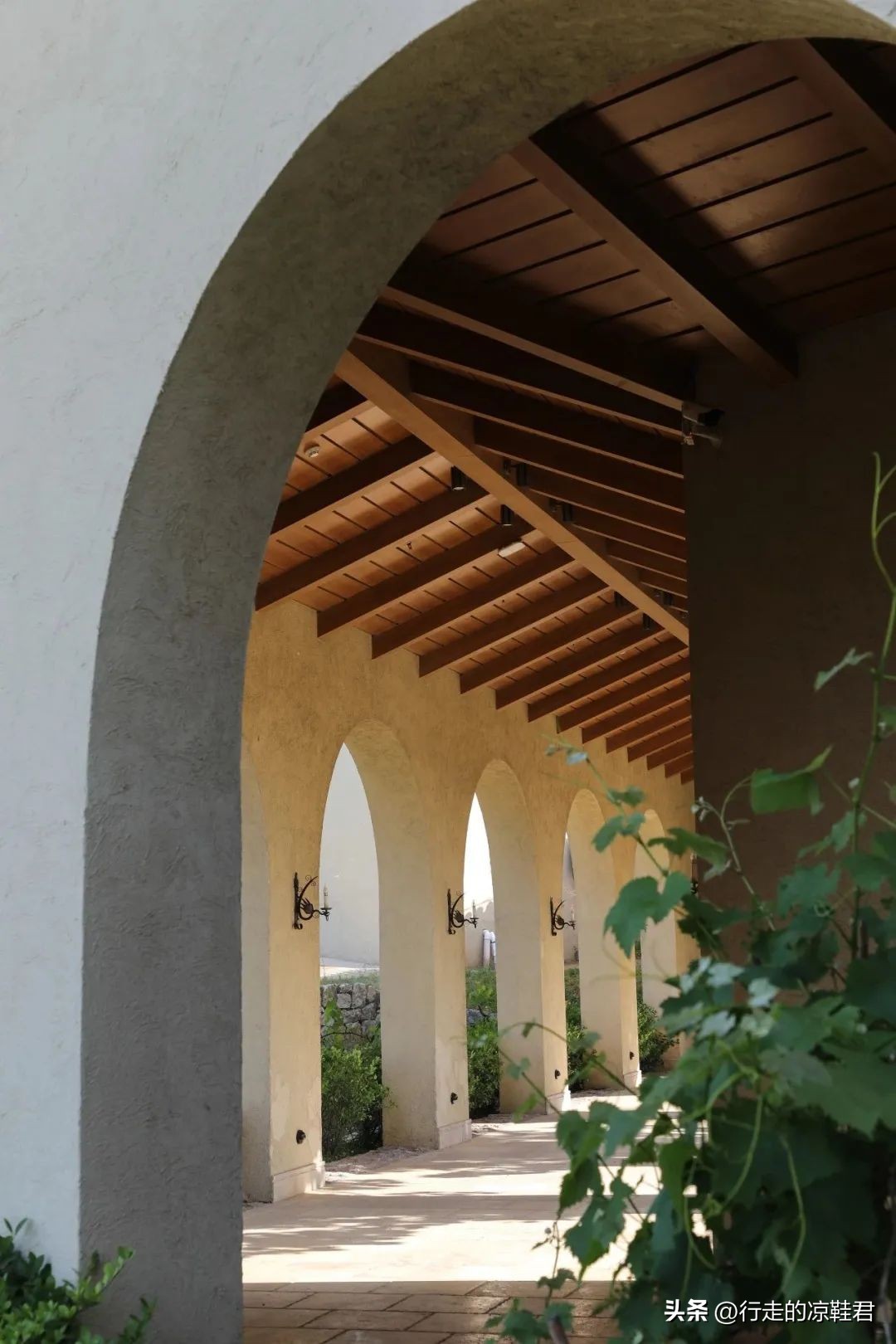 王功权：青普将是我最后一个创业项目