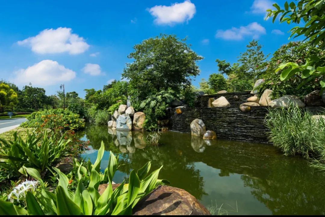 厦门海悦山庄离海边多远,厦门海悦山庄雨林别墅