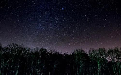 【124】：小娥与干大