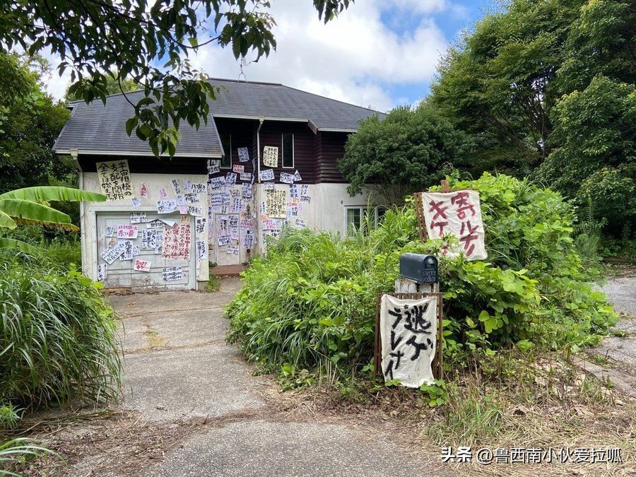 娆㈣繋鏉ュ埌绮剧伒妫灄瑙掕壊浠嬬粛,娆㈣繋鏉ュ埌妫灄闅愯棌瑙掕壊