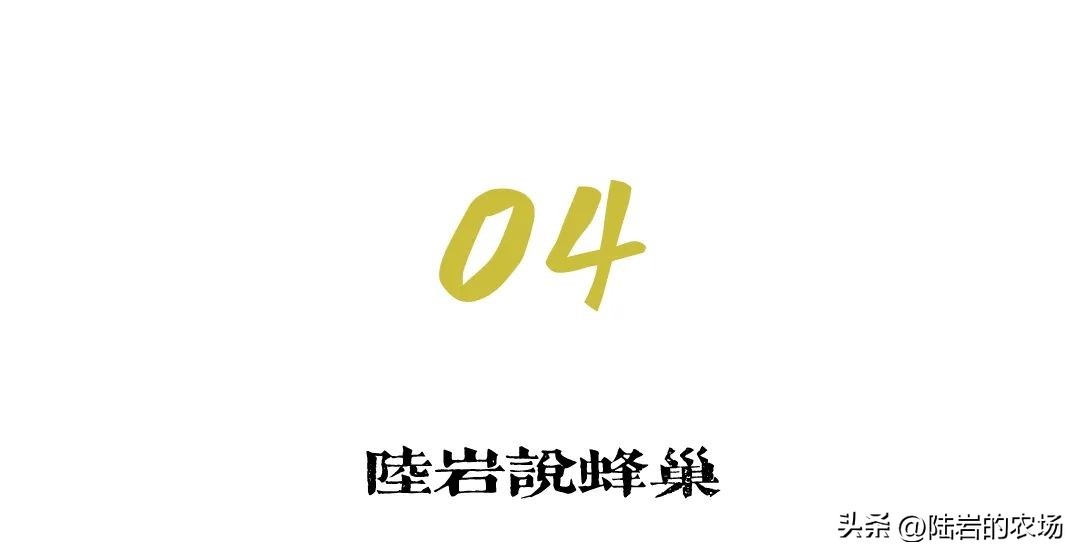 盘点市面五种常见蜂巢