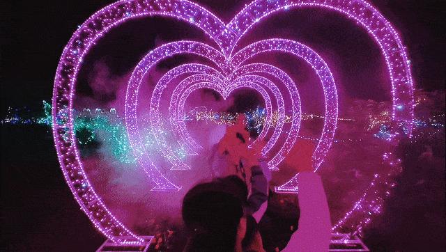 80000万盏霓虹彩灯！浪漫花海、童话世界、打铁花……一起来开启光与影的奇幻之旅吧！