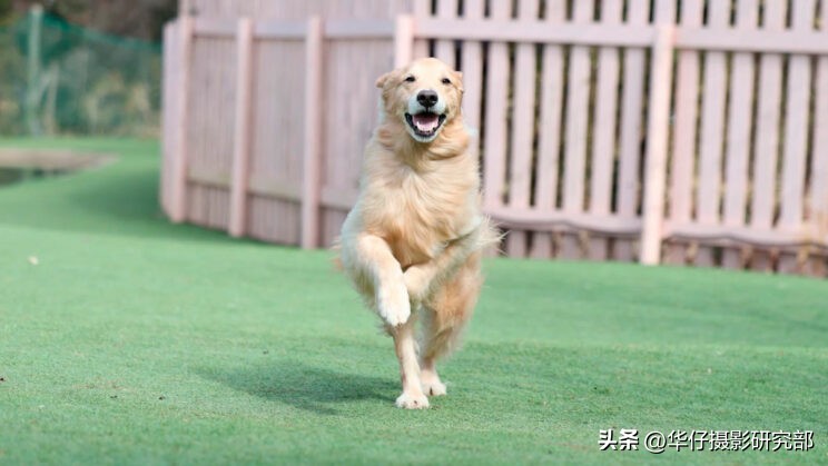 佳能eosr10对比m6二代,佳能eosr100和r50