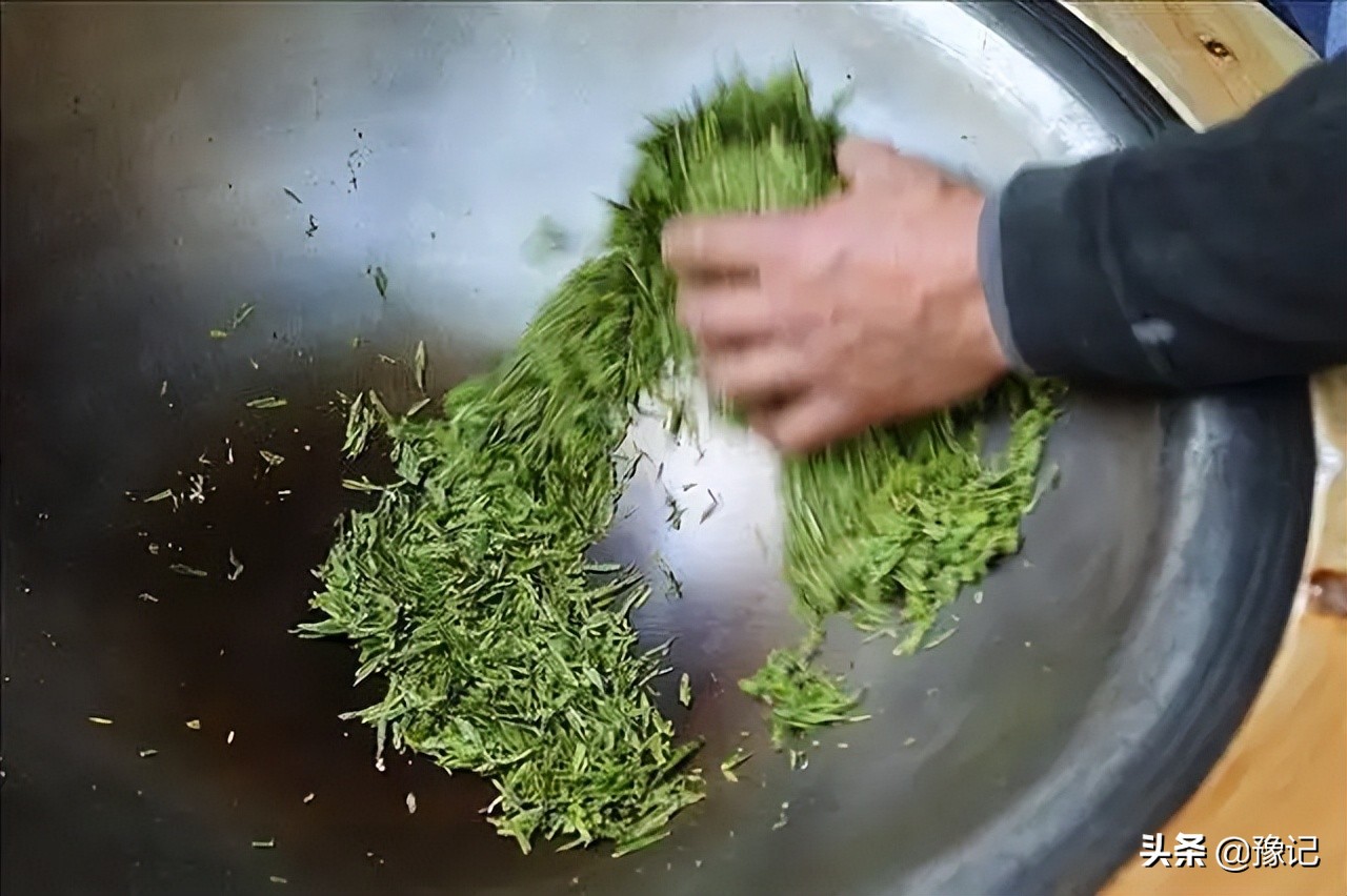 信阳毛尖小浑淡和大清浓谁正宗,信阳毛尖为什么叫小浑蛋