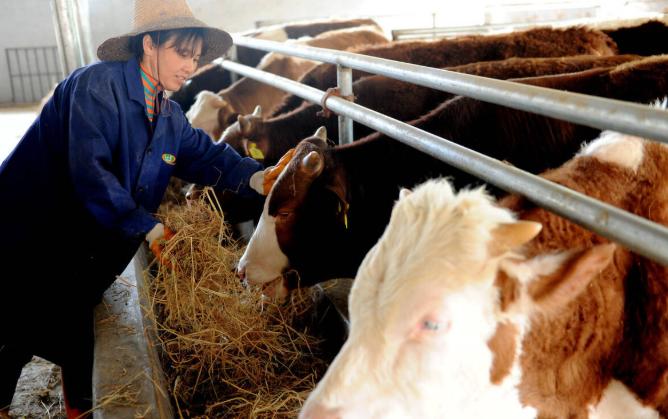 看了致富经破产的人,养殖亏得倾家荡产后改行翻身案例