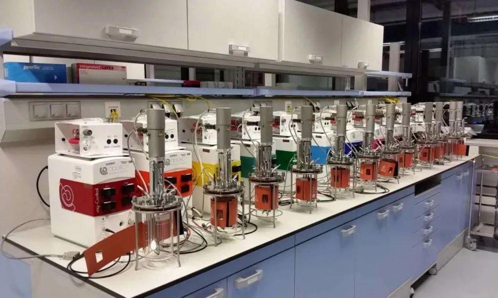 知耕快报｜作物基因组设计育种工具箱；Calyxt植物合成生物学方案