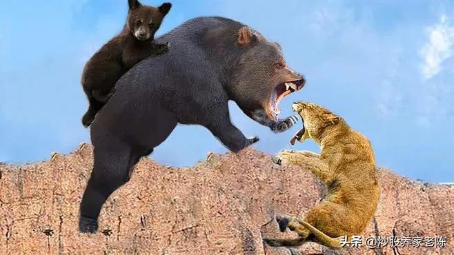 股票牛市是什么样子的,股票的牛市是什么