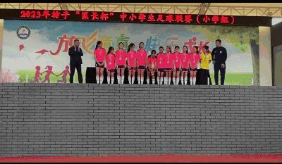 潍坊市奎文区小学足球联赛,2019潍坊小学足球联赛