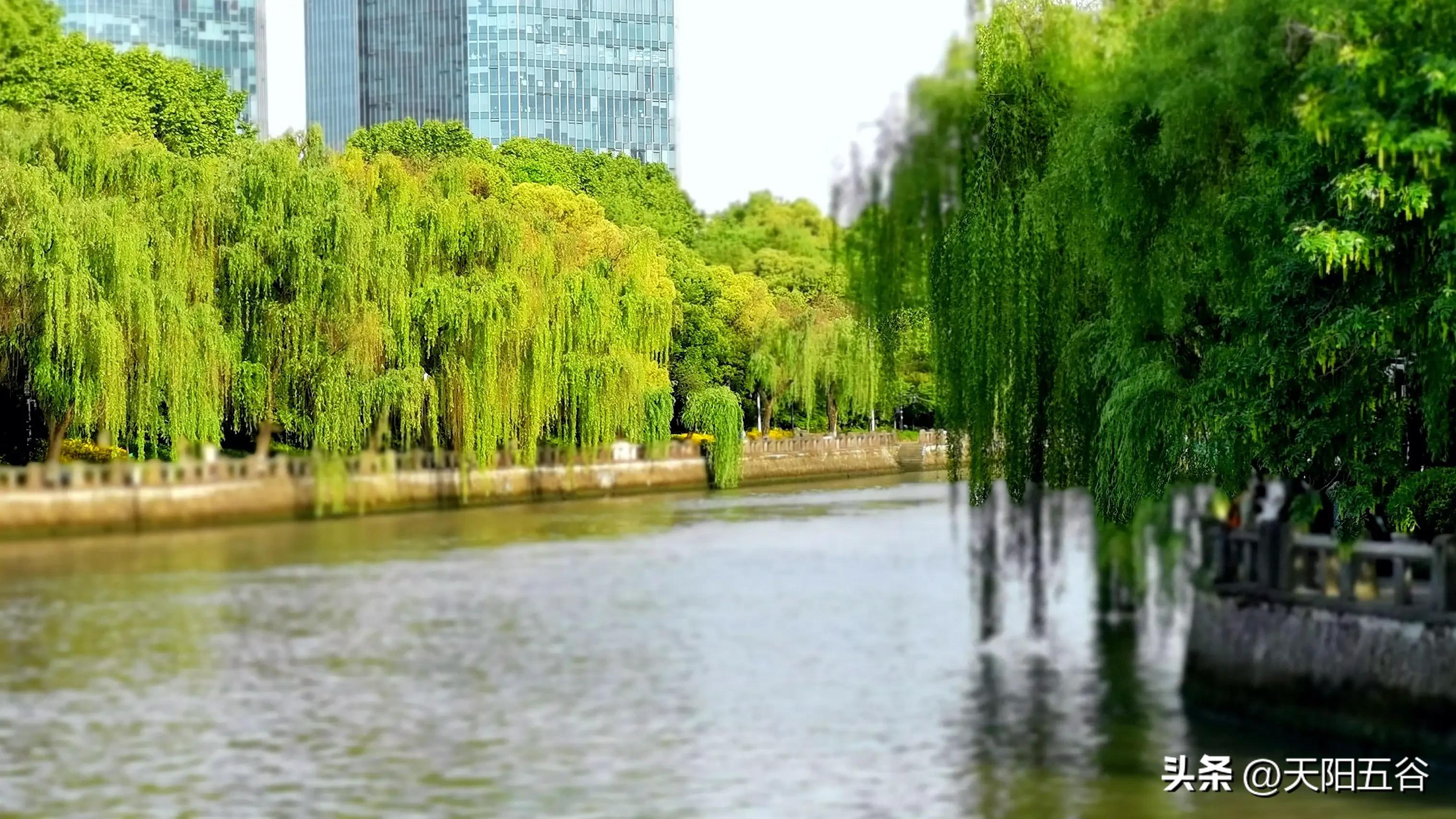 杭州小河历史文化街还有哪里好玩,游杭州小河历史街区