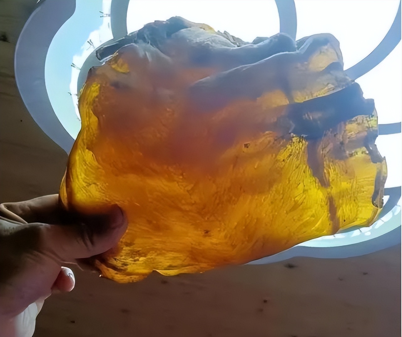 一块70年的老鱼胶值多少钱,鱼胶为什么老胶值钱