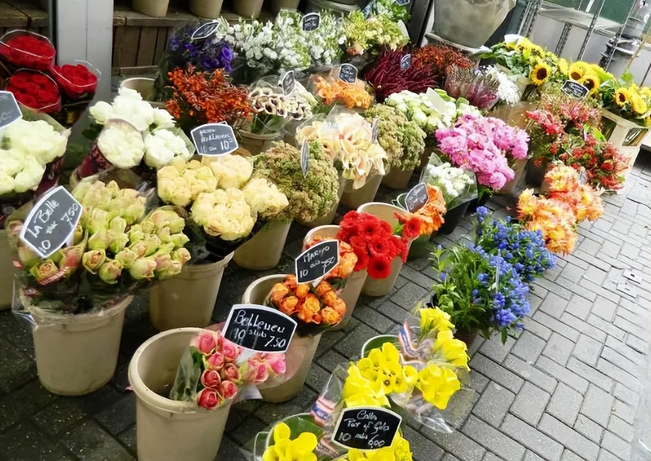 2023年最火爆的加盟店,2023年加盟店有哪些好项目