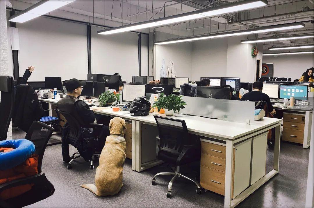 浣犵溂涓殑鍏徃娓告垙,鏈夋剰涔夌殑鍏徃娓告垙